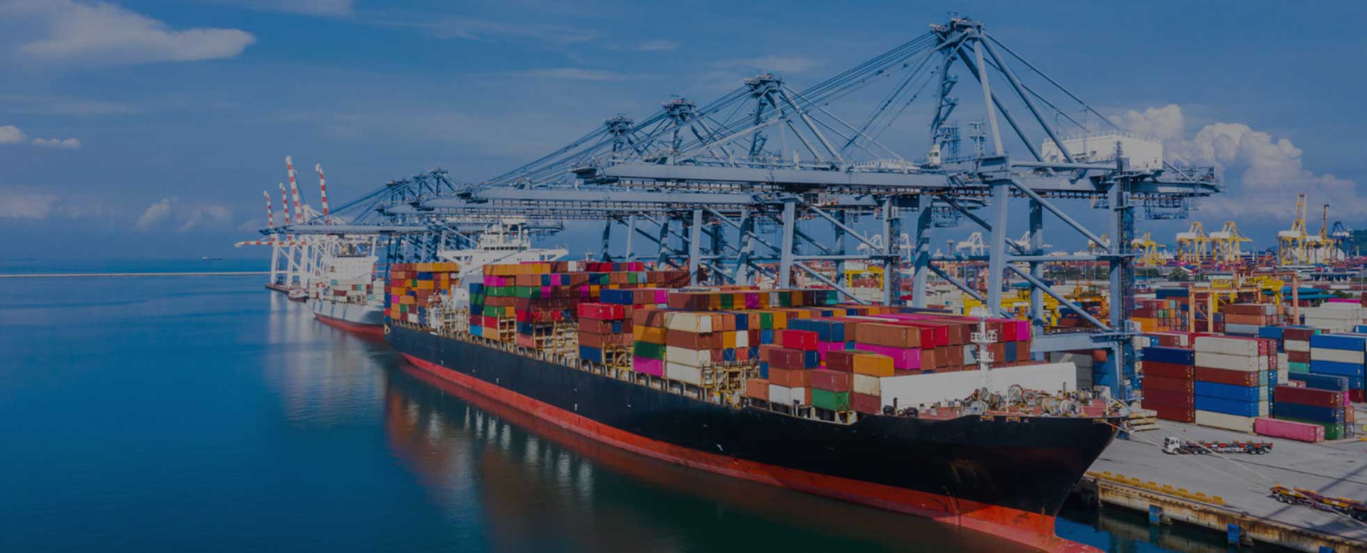 Mirasol International