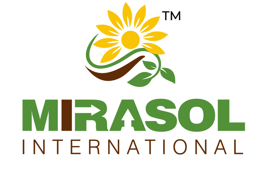 Mirasol International