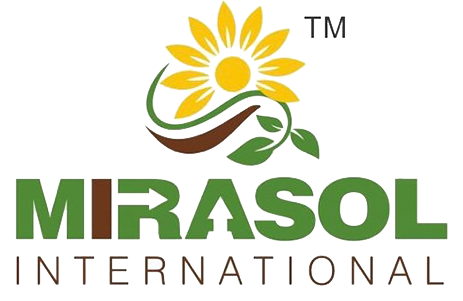 Mirasol International
